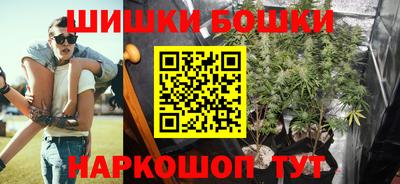 соль ск Бийск